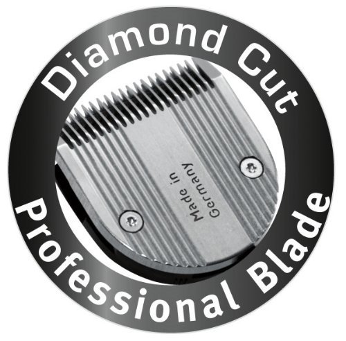 diamondcutblade.jpg