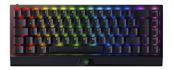 17630100134_RazerBlackWidowV3MiniHyperspeed_566_01.jpg