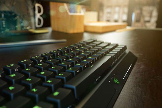 17630100134_RazerBlackWidowV3MiniHyperspeed_566_06.jpg