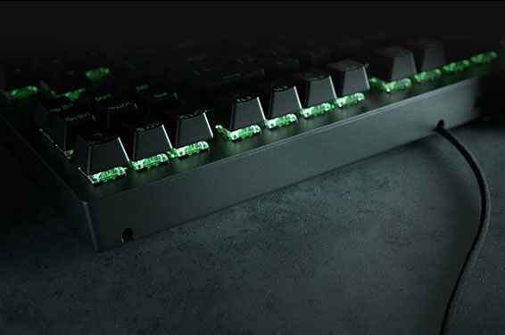 17632008134_RazerBlackwidowV3Tenkeyless_566_04.jpg