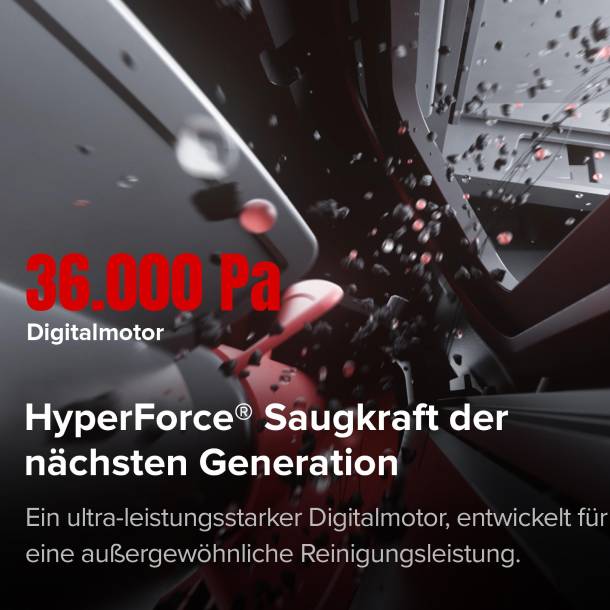 Saugkrauft.jpg