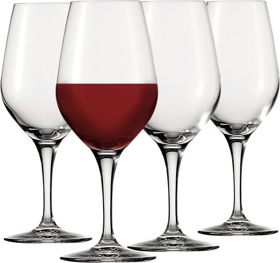 93100096972-Spiegelau-Special-Glass-Profi-Tasting-Weinglas-SET-401-566-02.jpg